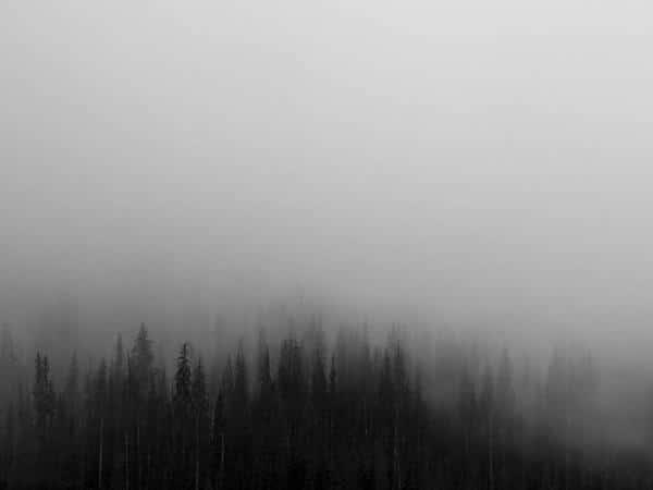 Great Watches & jewelry — Da Nang