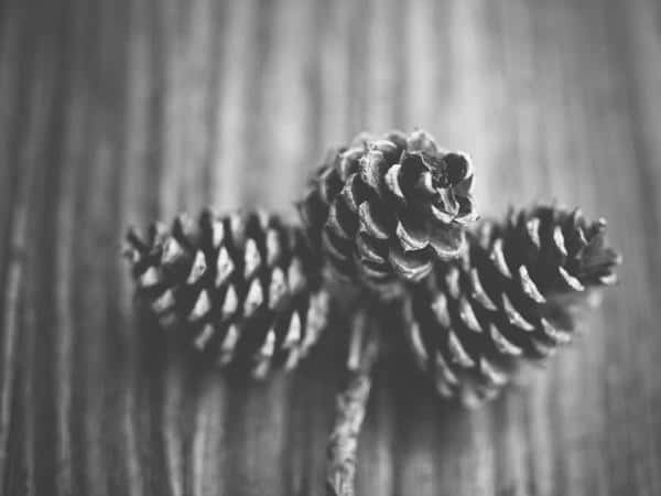 Photography & creative — service in Da Nang — 1/2