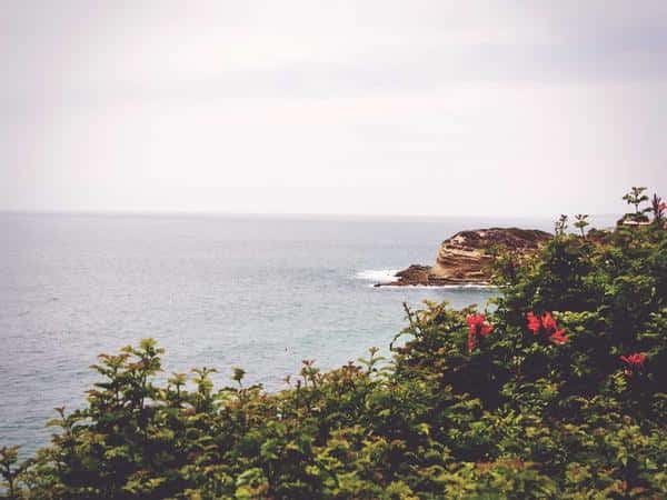 Spacious Shoes — Cau Giay