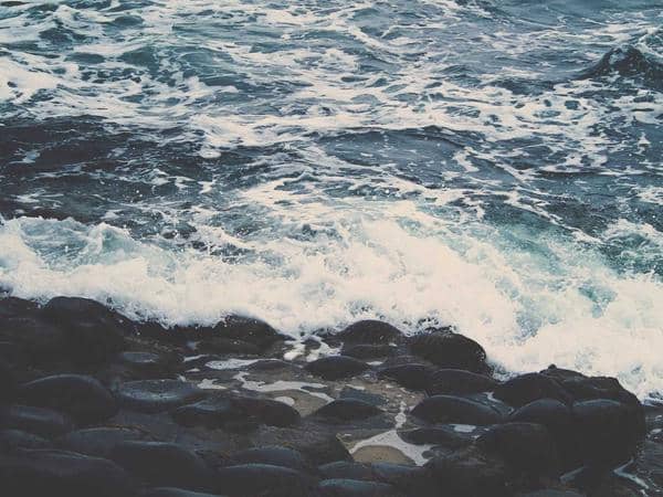 Xe đẩy & Ghế ngồi ô tô — Tay Ho