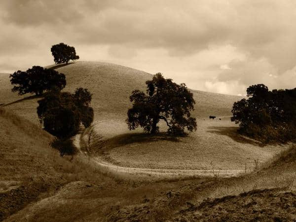 Dụng cụ thể thao — District 3