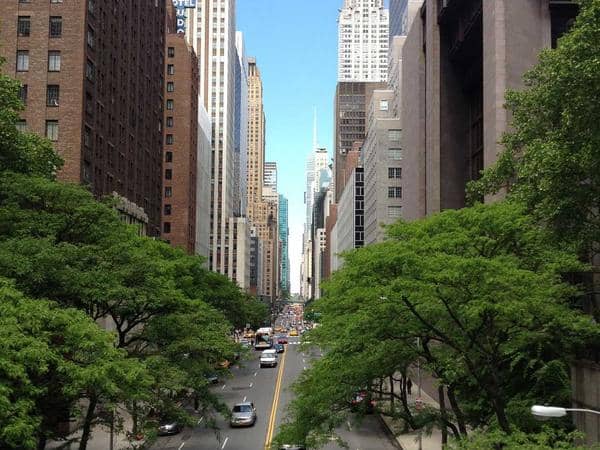 Chim, cá & khác — Cau Giay