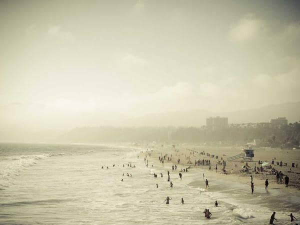 Chim, cá & khác — Binh Thanh — photo 3