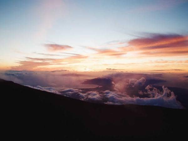 Dịch vụ thú cưng — dịch vụ tại Phu Nhuan