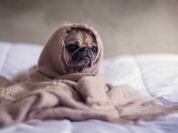 Giao lưu ngôn ngữ — District 3