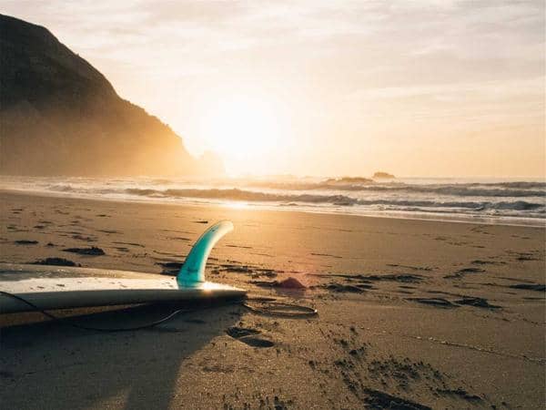 Thất lạc & Tìm thấy — Da Nang — photo 2