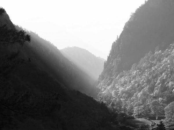 Ngắn hạn / Theo tháng cho thuê — Da Nang