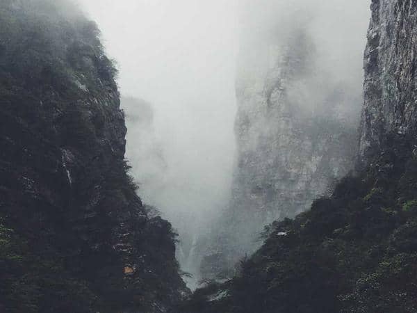 Cây cảnh & Sân vườn — Binh Thanh