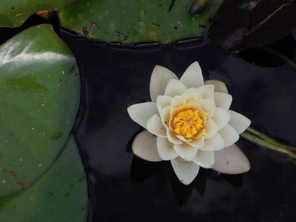 Âm thanh — Cau Giay — photo 3